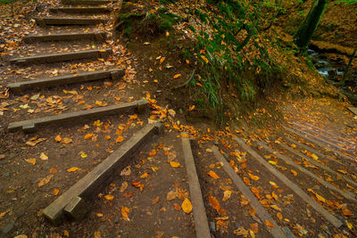 High angle view of sunlight falling on footpath during autumn