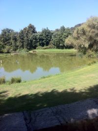 Reflection of trees in lake