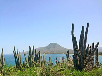 Scenic view of sea against clear sky