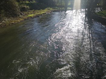 High angle view of river flowing in forest