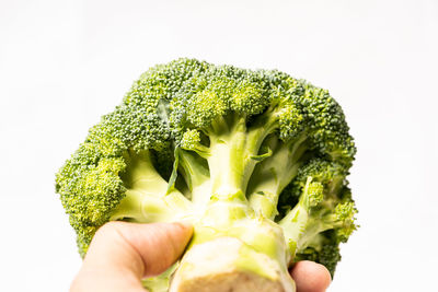 Close-up of hand holding apple against white background