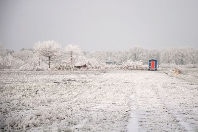 Scenic view of snow covered trees against sky