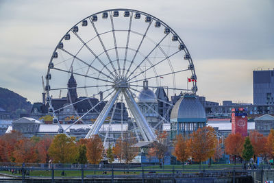 Ferris wheel in city against sky