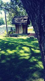 Trees on grassy field