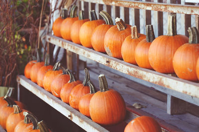 Pumpkins for sale at market stall