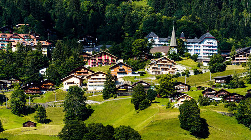 High angle view of houses and trees in city