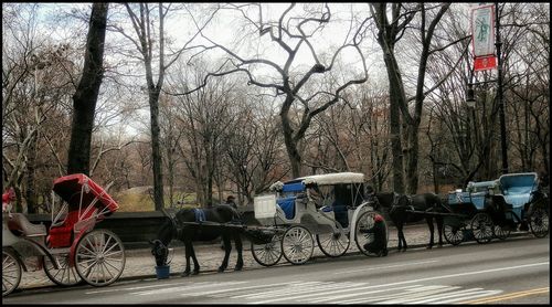 Cars parked on road