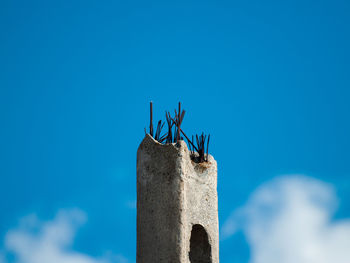 Low angle view of horse on wall against blue sky