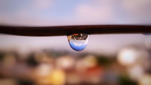 Close-up of water drop on leaf