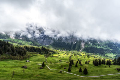 environment