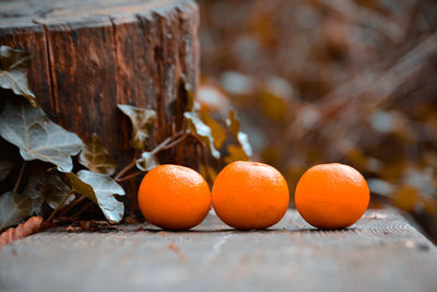 Close-up of oranges on tree