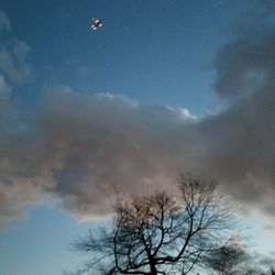 Low angle view of bare trees against blue sky