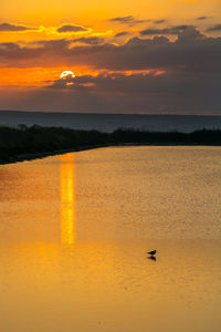 Scenic view of sea at sunset