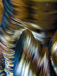Full frame shot of wood