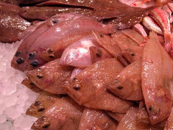 Close-up of fish for sale in market