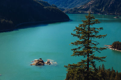 High angle view of lake by trees