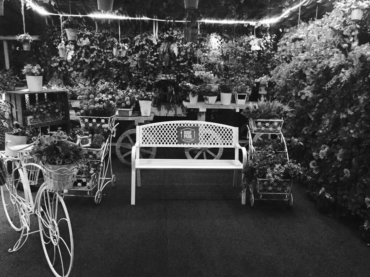 seat, table, plant, chair, absence, business, empty, indoors, no people, restaurant, arrangement, flower, potted plant, nature, flowering plant, furniture, place setting, architecture, day, setting, flower arrangement, flower pot