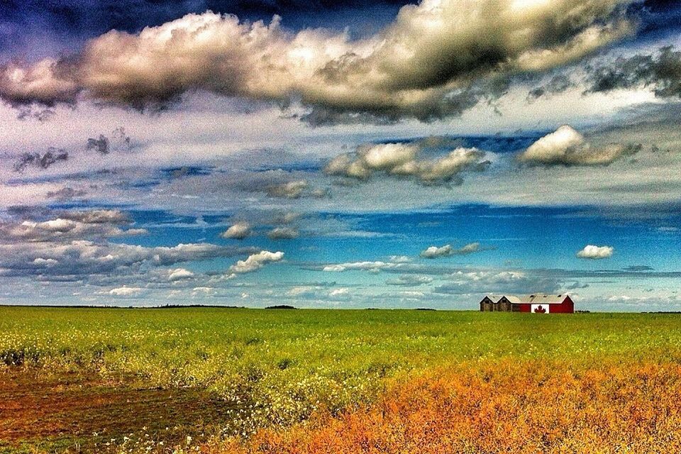 sky, cloud - sky, tranquil scene, scenics, tranquility, cloudy, beauty in nature, landscape, nature, cloud, grass, field, sea, horizon over water, leisure activity, lifestyles, water, idyllic, beach