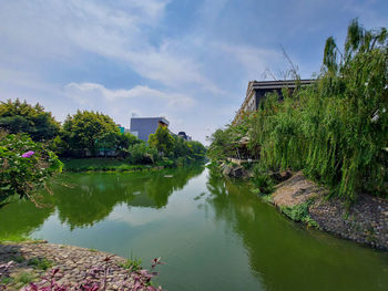 Plants by lake and building against sky