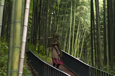 Rear view of man standing on footbridge