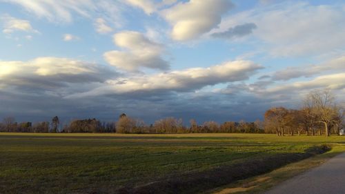 Scenic view of field against sky