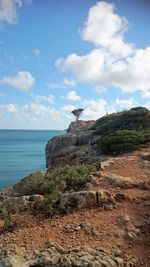 Bird perching on rock by sea against sky