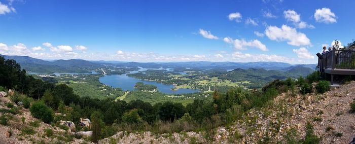 Panoramic shot of trees and sea against blue sky