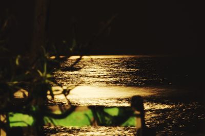 Close-up of tree by sea during sunset