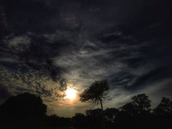 Low angle view of silhouette trees against sky at sunset