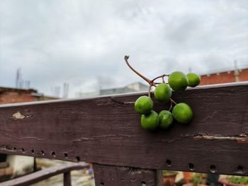 Close-up of fruits on wood against sky