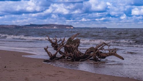 Scenic view of beach against sky