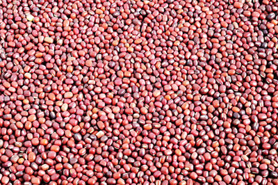 Full frame shot of brown beans