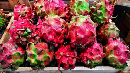 Close-up of pink roses on display at market