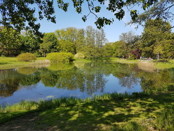Scenic view of lake by trees against sky