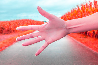 Close-up of person hand with red umbrella