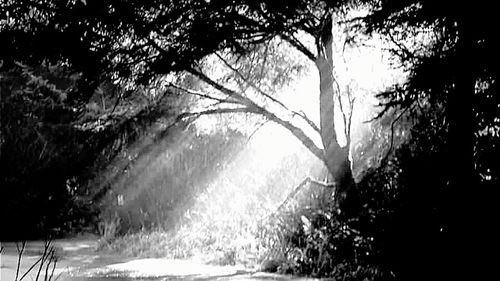 Scenic view of waterfall against sky