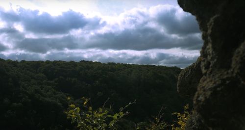 Low angle view of storm clouds over plants