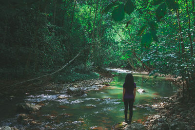 Rear view of woman standing by river in forest