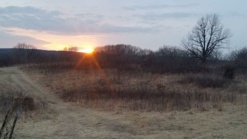 Scenic view of field against sky during sunset