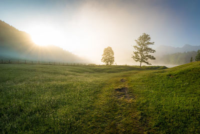 Scenic view of field against sky