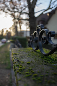 Close-up of bicycle on field