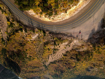 High angle view of road amidst trees