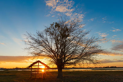 Bare tree on field against sky during sunset