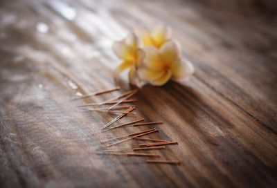 Close-up of yellow flower on table