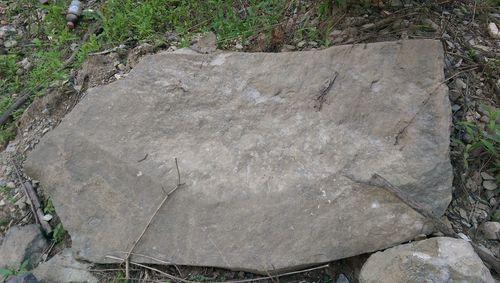 Close-up high angle view of rock