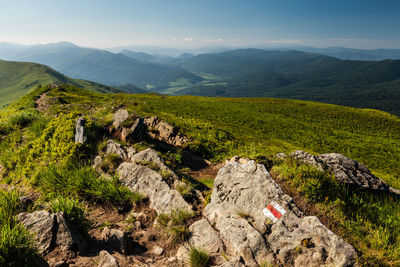 Polonina carynska in bieszczady mountains, poland