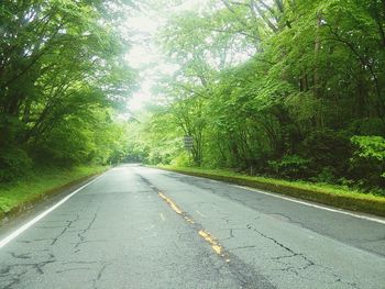 Road passing through trees