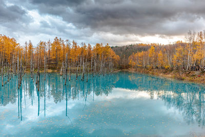 Scenic view of lake by trees against sky