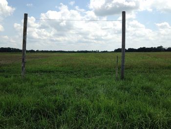 Scenic view of grassy field against cloudy sky