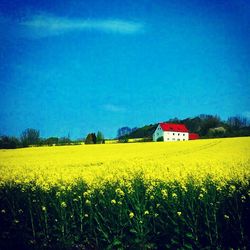 Scenic view of field against cloudy sky